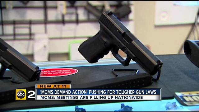 As students unite, a grassroots effort continues fight against gun violence