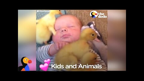 Kids and Animals LOVE Each Other Compilation | The Dodo!!