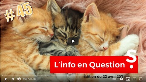 lNFO en QUESTlONS #45 - LlVE avec Richard Boutry