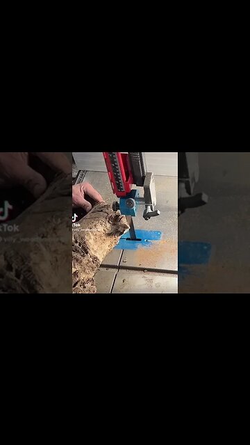 That bizarre #shorts #woodworking #shortvideo #subscribe #trending #reels #bandsaw #wood