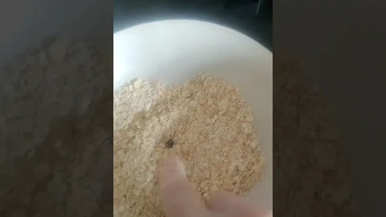 Tesco do Super Shrinkflation