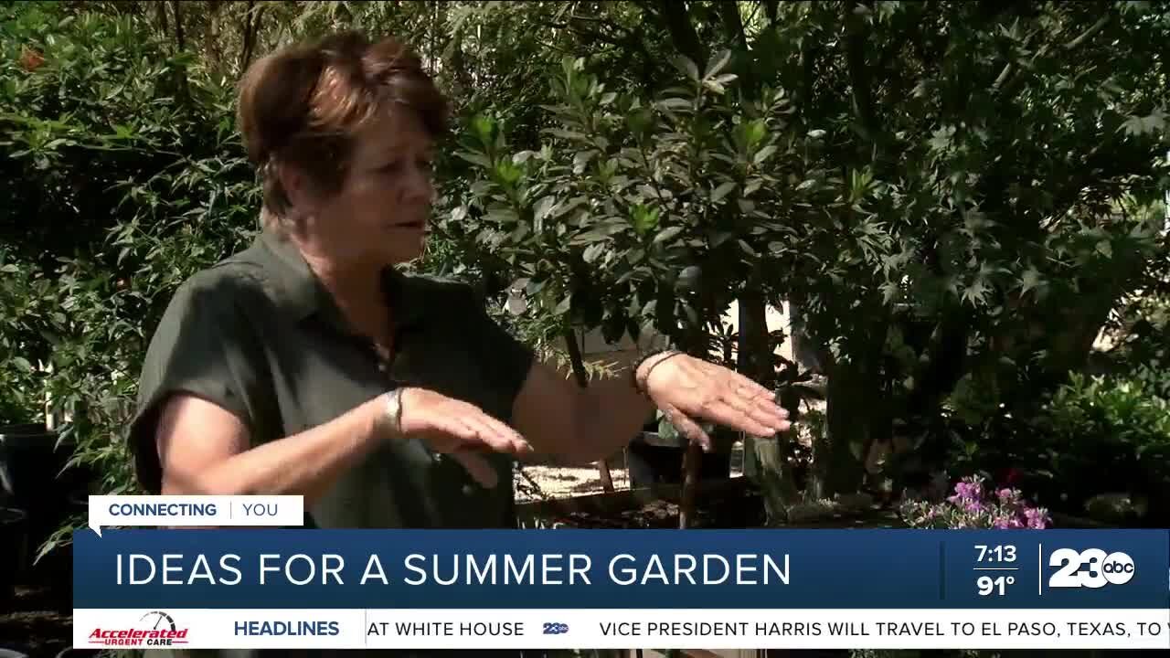 Growing Your Garden: Successful summer planting
