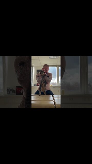 Now it’s Cat Turn To Be Adjusted By a Chiropractor