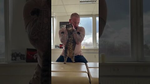 Now it’s Cat Turn To Be Adjusted By a Chiropractor
