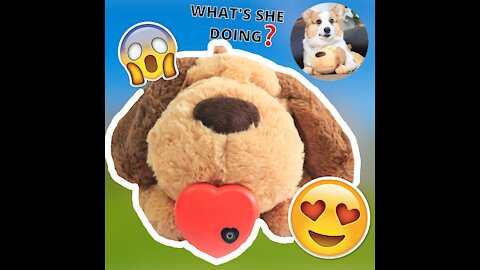 😱OMG❗Want to Ease Your Puppy’s loneliness, fear, and separation anxiety? 😱