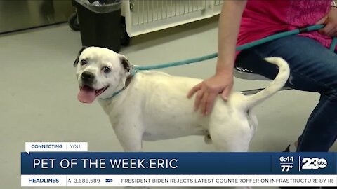 Pet of the Week: Eric