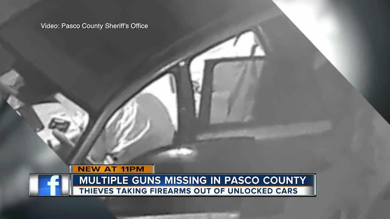 Pasco deputies search for thieves who stole firearms from unlocked cars in Wesley Chapel