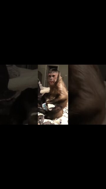 She can’t help it 🤦🏻‍♀️😂😂😂😂❤️ #Shorts