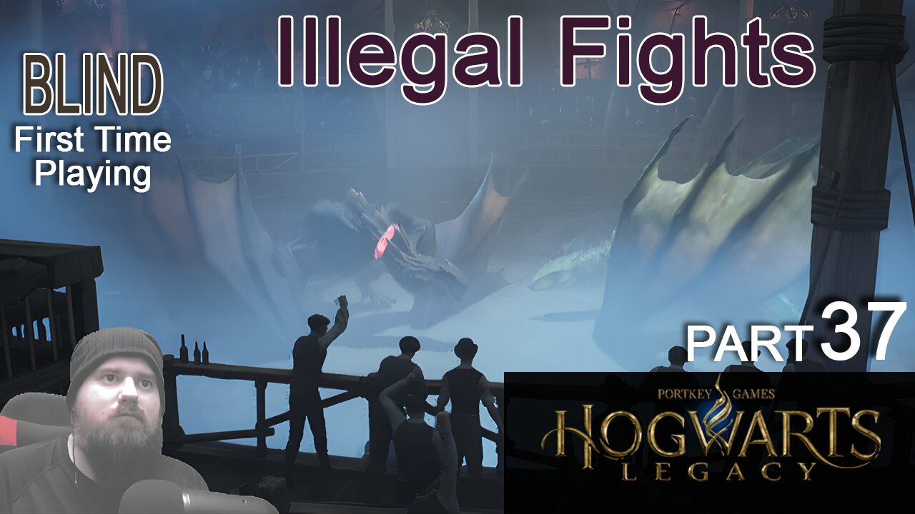 This is NOT Legal | Blind Playing Hogwarts Legacy Part 37 Slytherin