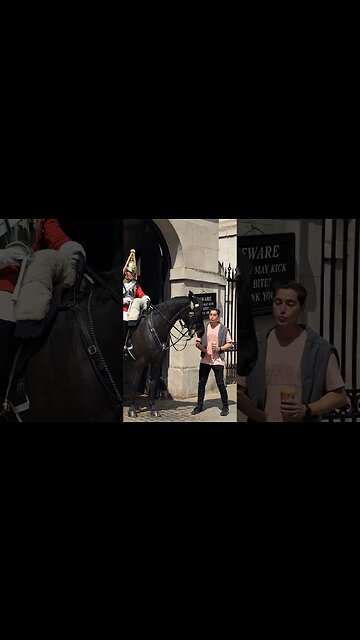 When his ears go back #horseguardsparade