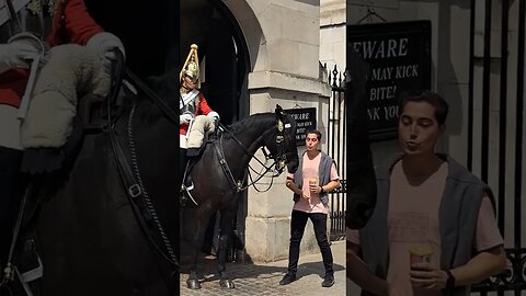 When his ears go back #horseguardsparade