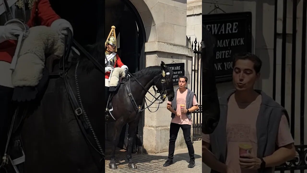 When his ears go back #horseguardsparade