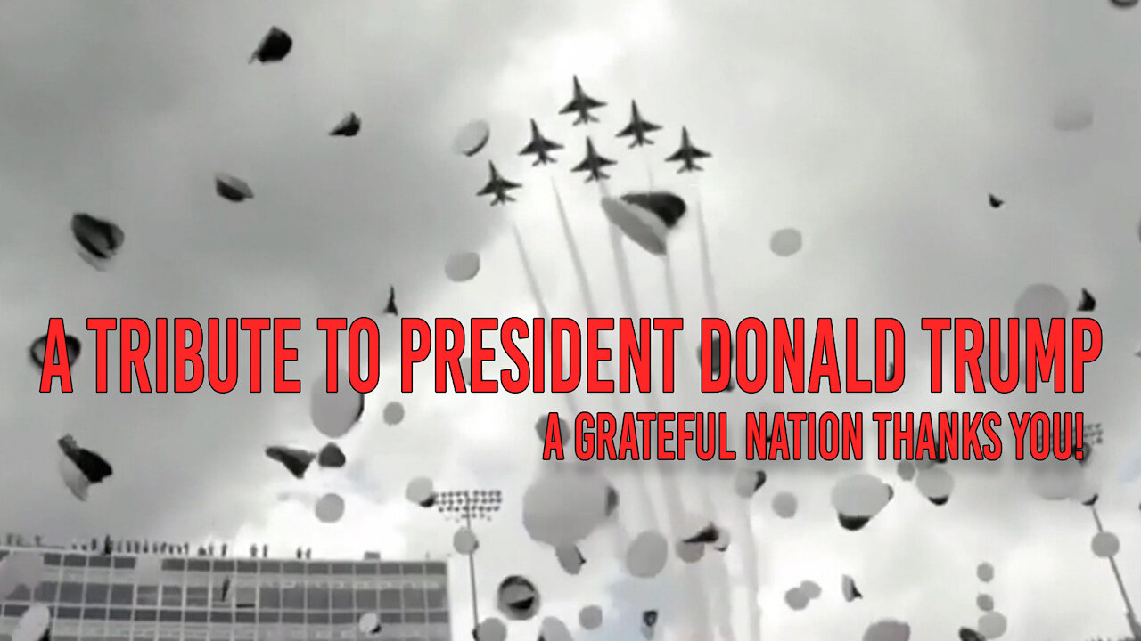 A Tribute to President Donald Trump: A Visual Celebration of His 1st Term