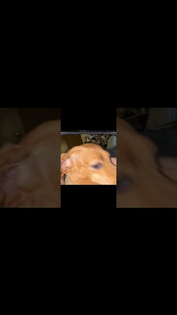 Fun With CapCut editor #familyguy