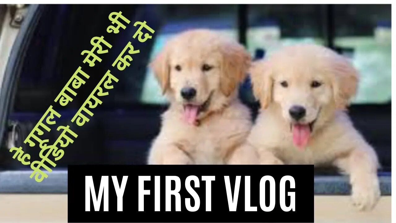 my first vlog || my first vlog video || my first vlog 2022