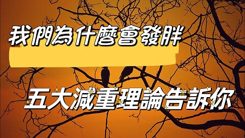 醫生親自告訴你：我們為什麼會發胖？為什麼瘦不下來？ 五大減重理論告訴你 《我們為什麼會發胖》#天橋下說書貓