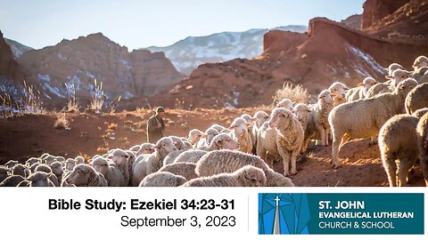 Bible Study: Ezekiel 34:23-31 — September 3, 2023