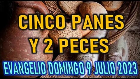 EL EVANGELIO DEL DÍA - 5 PANES Y 2 PECES - DOMINGO 9 JULIO 2023