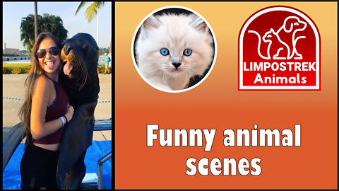 Amazing animals