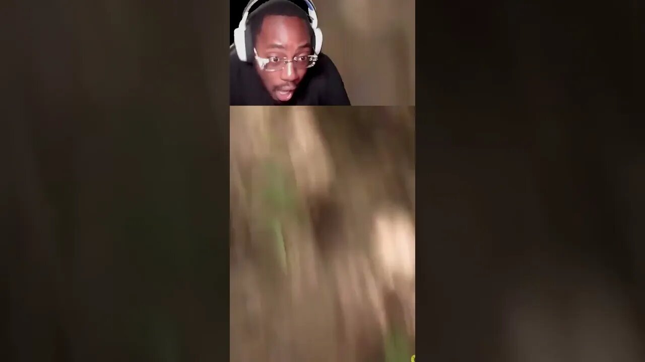 WTF Is THAT THING?😯🫣