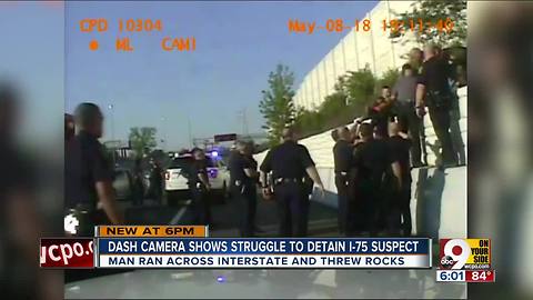 Video shows man fight officers on side of I-75