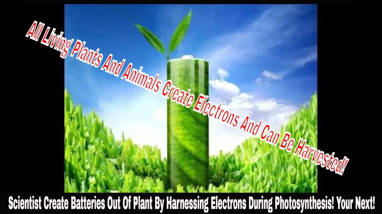 Scientist Create Batteries Out Of Plant By Harnessing Electrons During Photosynthesis! Your Next!