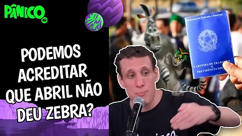 POPULAÇÃO SE REMEXEU COMO OS LÊMURES DE MADAGASCAR PRA REDUZIR TAXA DE DESEMPREGO? SAMY DANA COMENTA