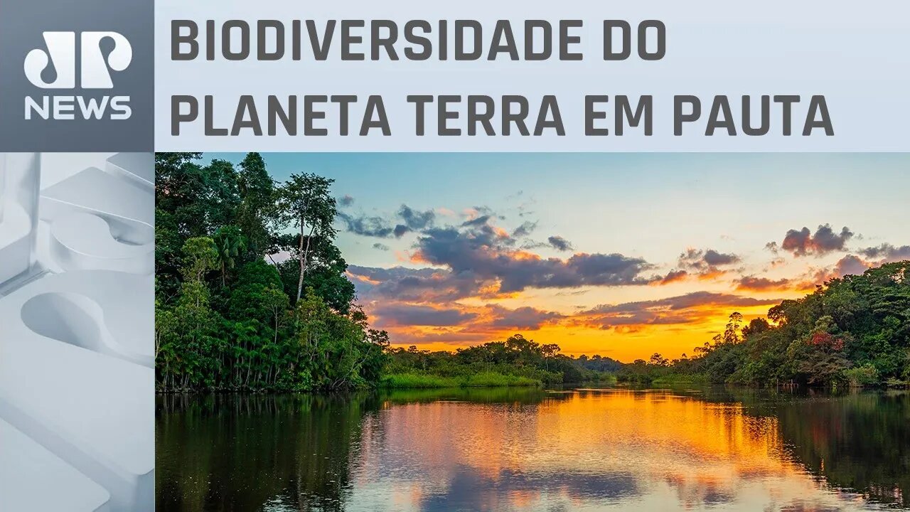 Pesquisadores se reúnem em trabalho pioneiro para entender impactos das mudanças no clima