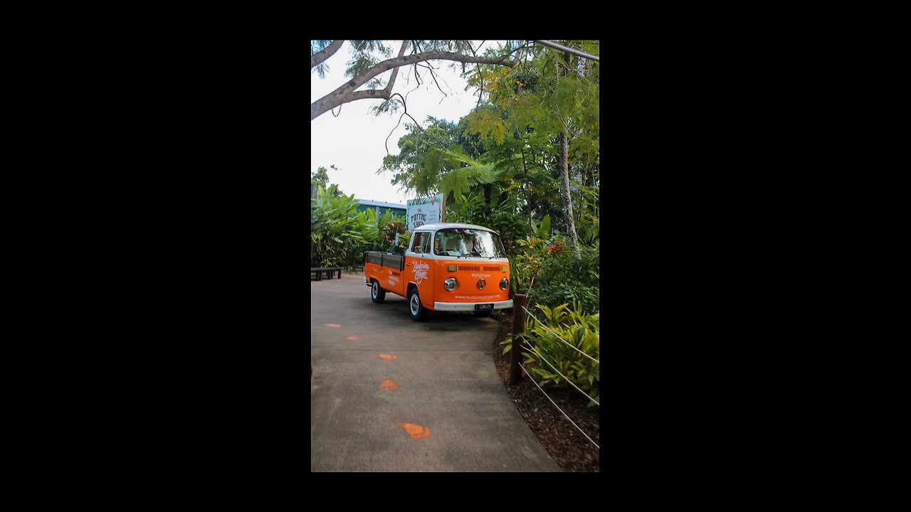 Ginger factory - Sunshine Coast