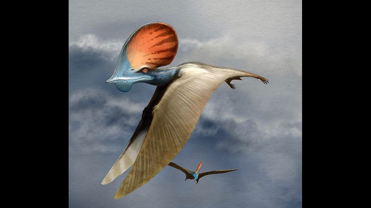 Alabama Student Witnesses Pterosaur Fly Over his Car