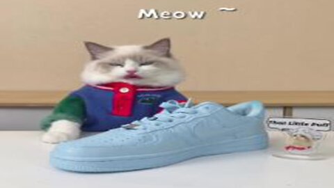 Cat Cats More dyeing videos? 😁😁😁