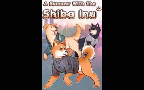 Shiba Inu Coin Price Prediction!