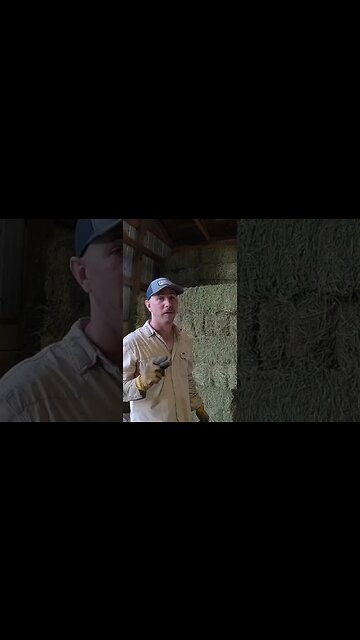 The OG stacker weight loss program! #farm #ranch #farmlife #hay #stackinghay #alfalfa #ranchlife