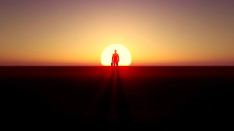 Monopoly | Follow the Money - Vrouwen voor Vrijheid