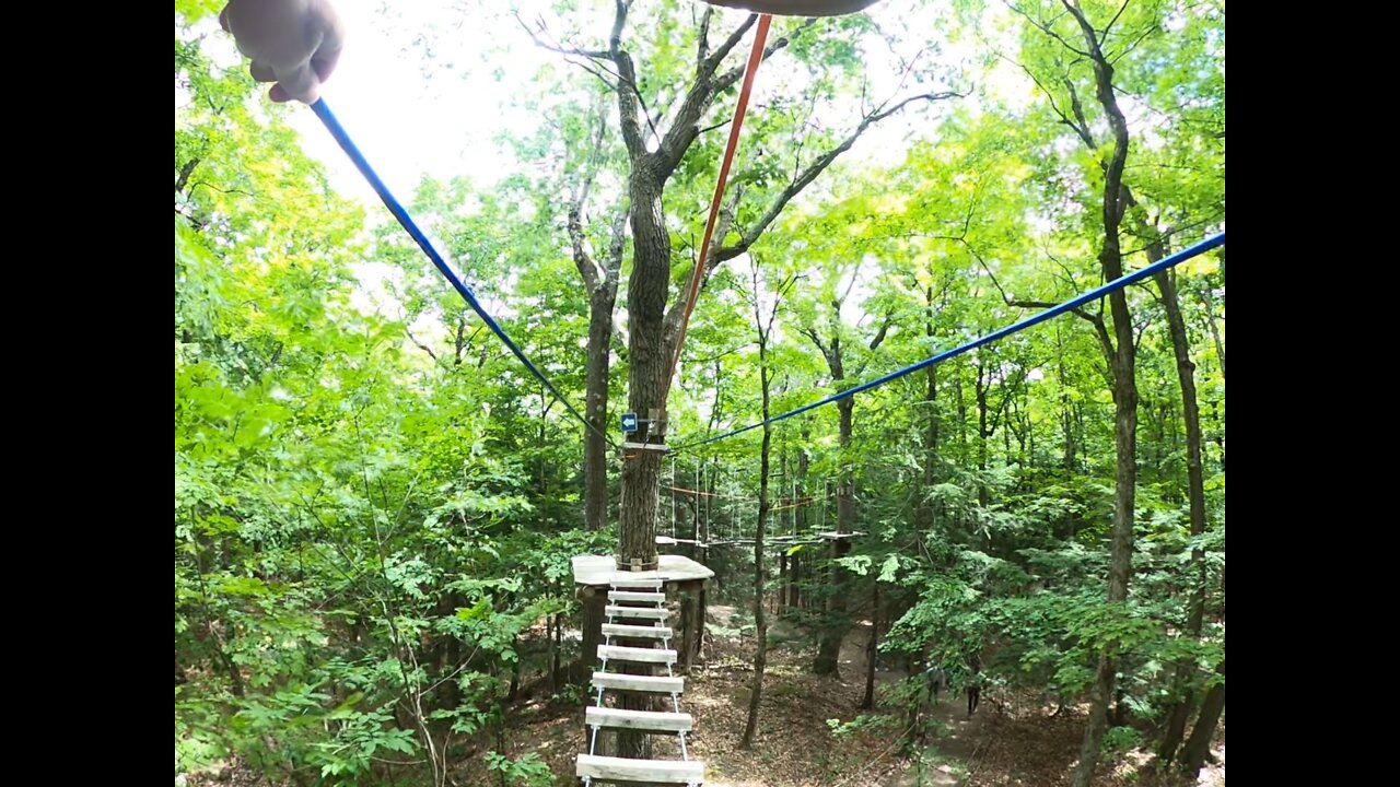 Blue course at WildPlay Thacher Park