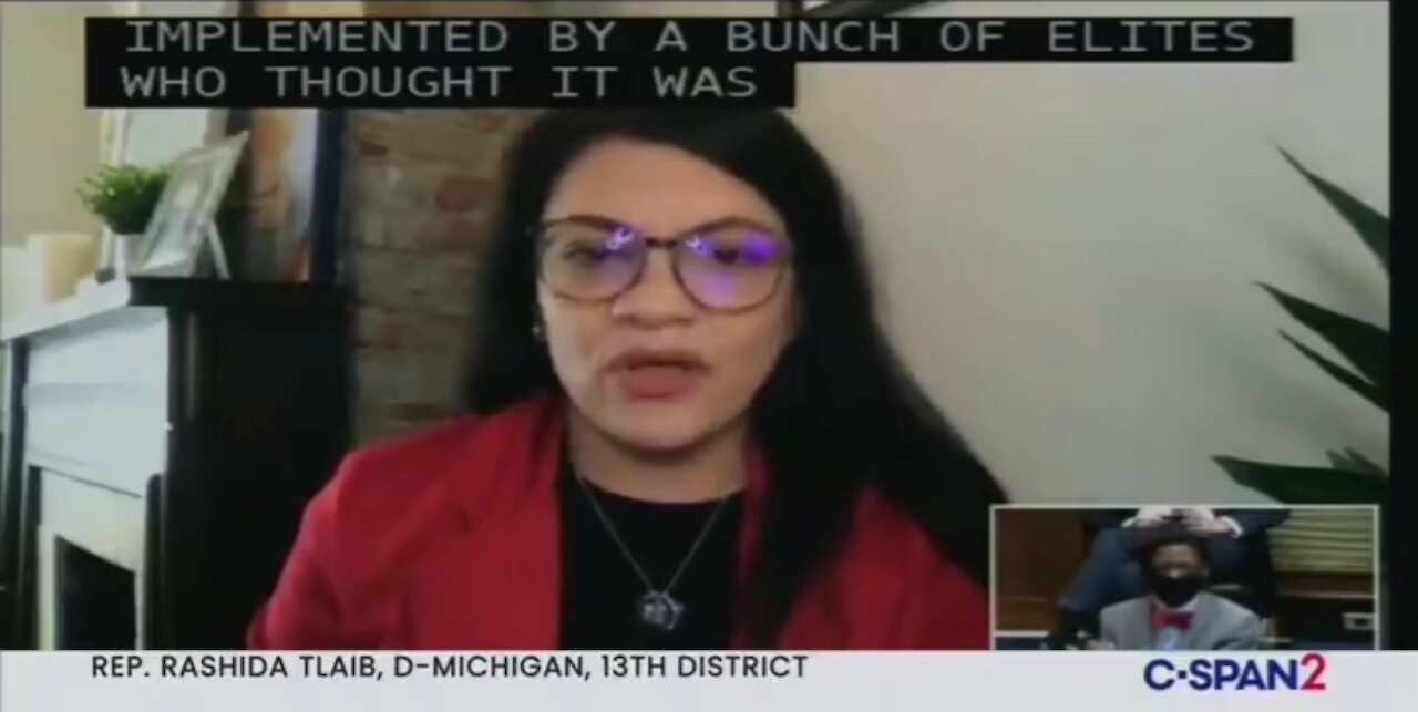 Rep Tlaib: It’s Shameful DC Isn’t A State Because Of Our Racist Founders