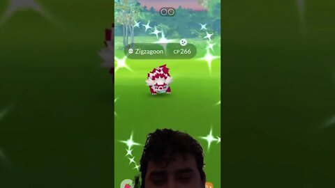 August Community day