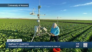 Changing climate has farmers constantly evolving in Yuma