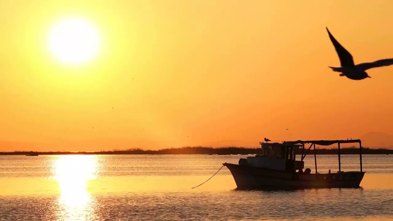 beautiful colors of sunset in evening in 4k