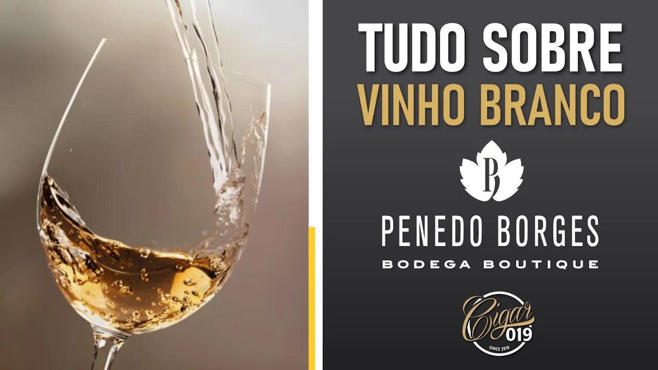 Cigar 019 - DEGUSTAÇÕES COM O CHEF: Vinho Branco Penedo Borges - com Luiz Amaral e Luiz Ferraz