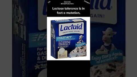 Lactose intolerant