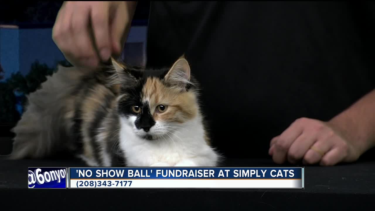 Simply Cats No Show Ball