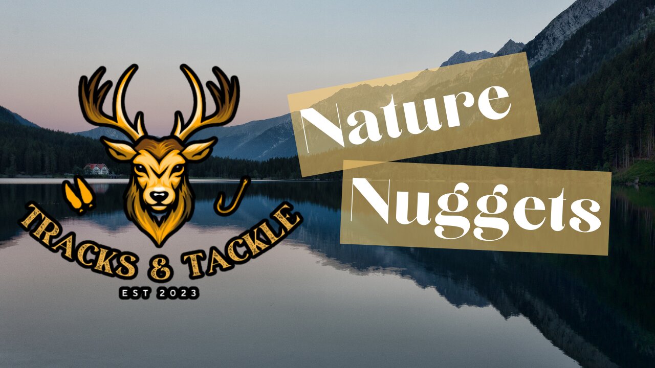 Tracks & Tackle EP34 Nature Nuggets: From Antlers to Anglers