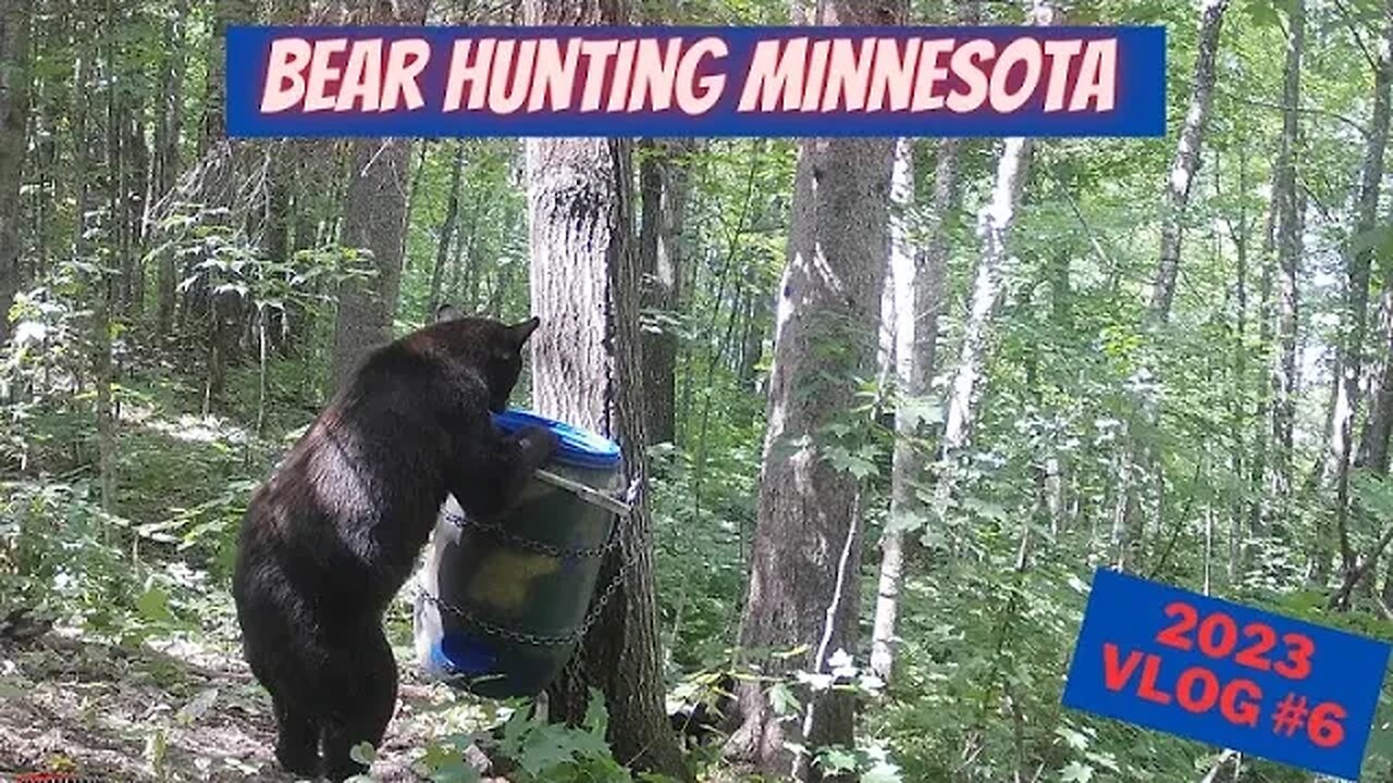 2023 Minnesota Bear Hunting VLOG #6 | HERE WE GO!