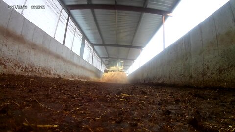 Putting a Straw Bale in the Alley