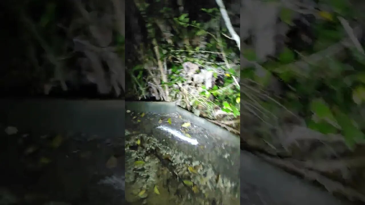 Hash House Harriers Wednesday night.