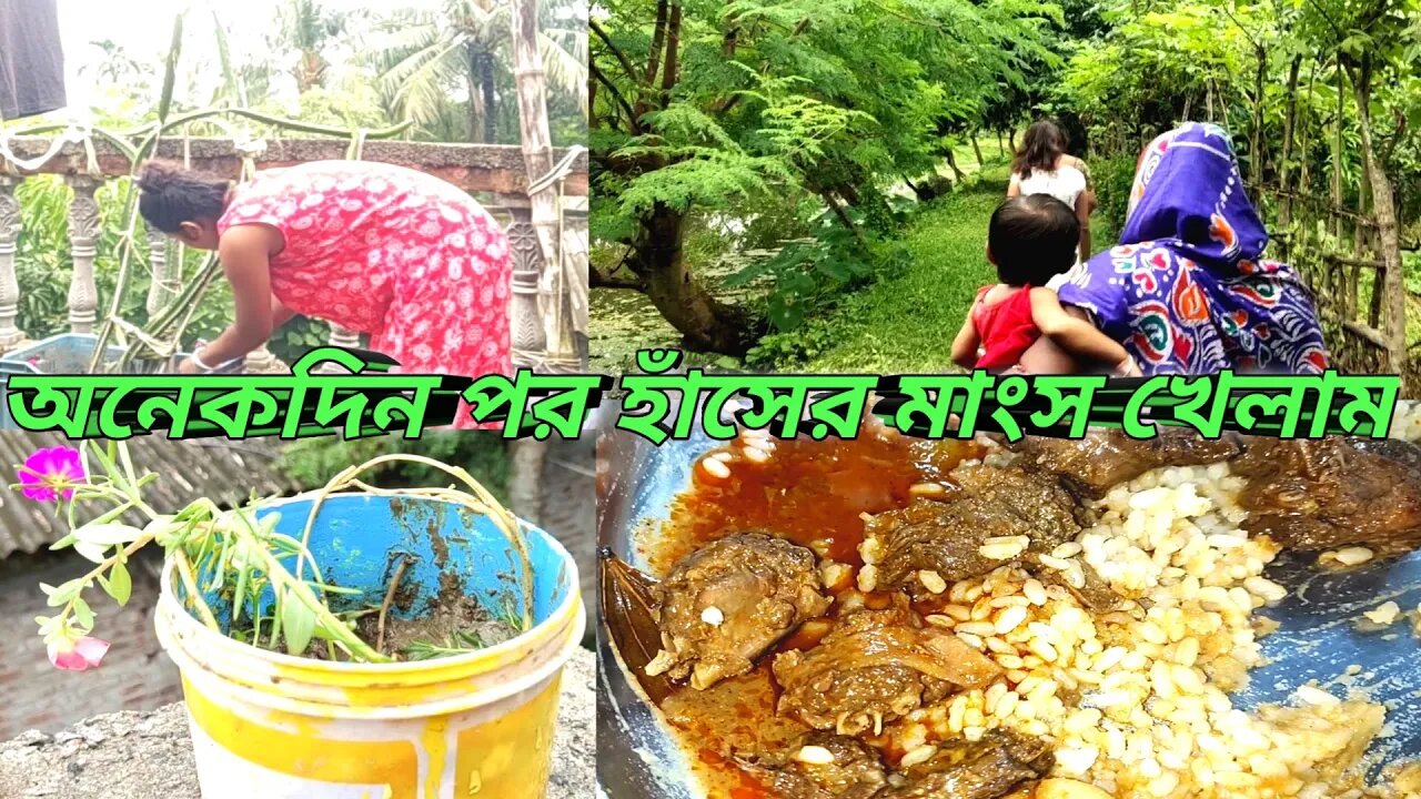 আজ জেঠুদের বাড়ি সবাই মিলে খাওয়া দাওয়া করলাম#msvillagelifestyle