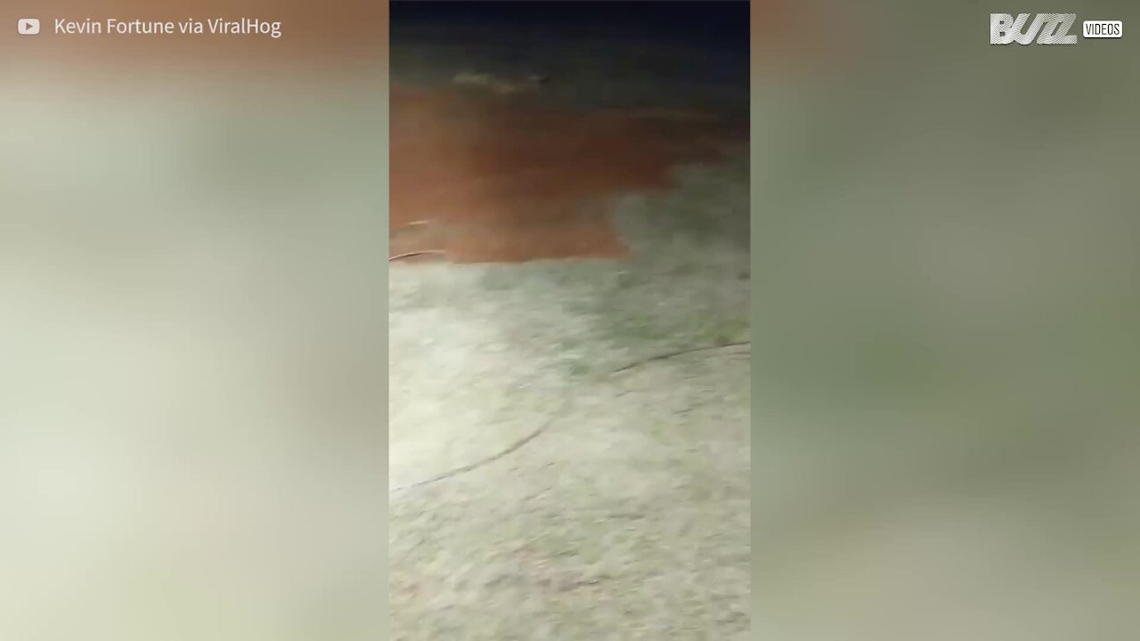 Incredibile grandinata in Australia
