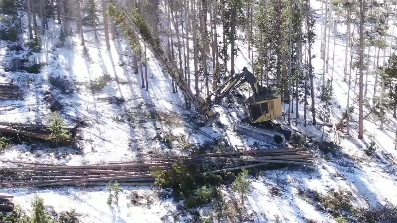 Colorado State Forest Service, private logger work to remove dead timber between wildfire burn scars