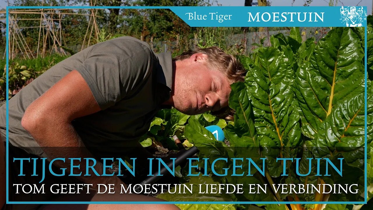 Tijgeren in eigen Tuin: in gesprek met de planten